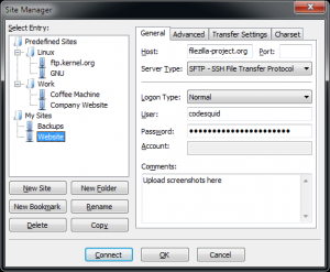 connect to vendor filezilla login remotely